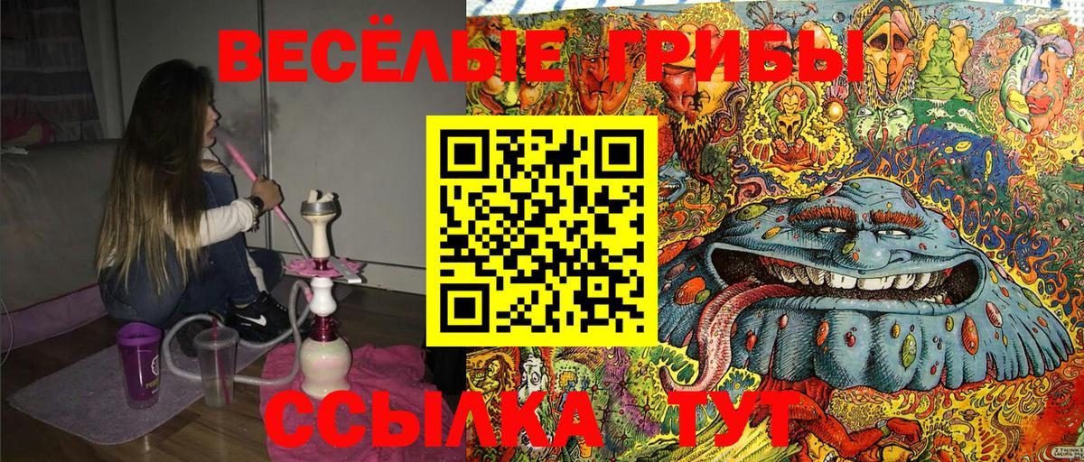 Галлюциногенные грибы Magic Shrooms Менделеевск