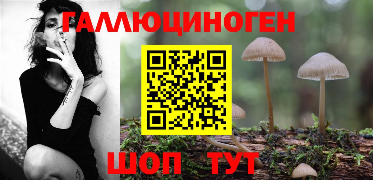 сколько стоит  Псилоцибиновые грибы прущие грибы  Галлюциногенные грибы Psilocybine cubensis  Вход с VPN  Менделеевск 