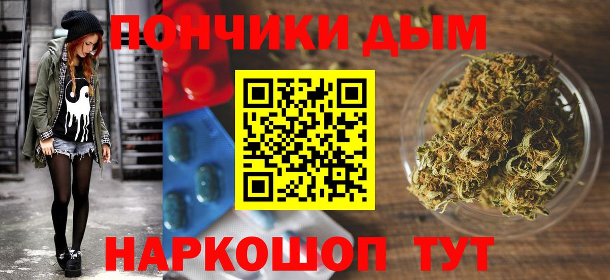 Каннабис сатива Менделеевск